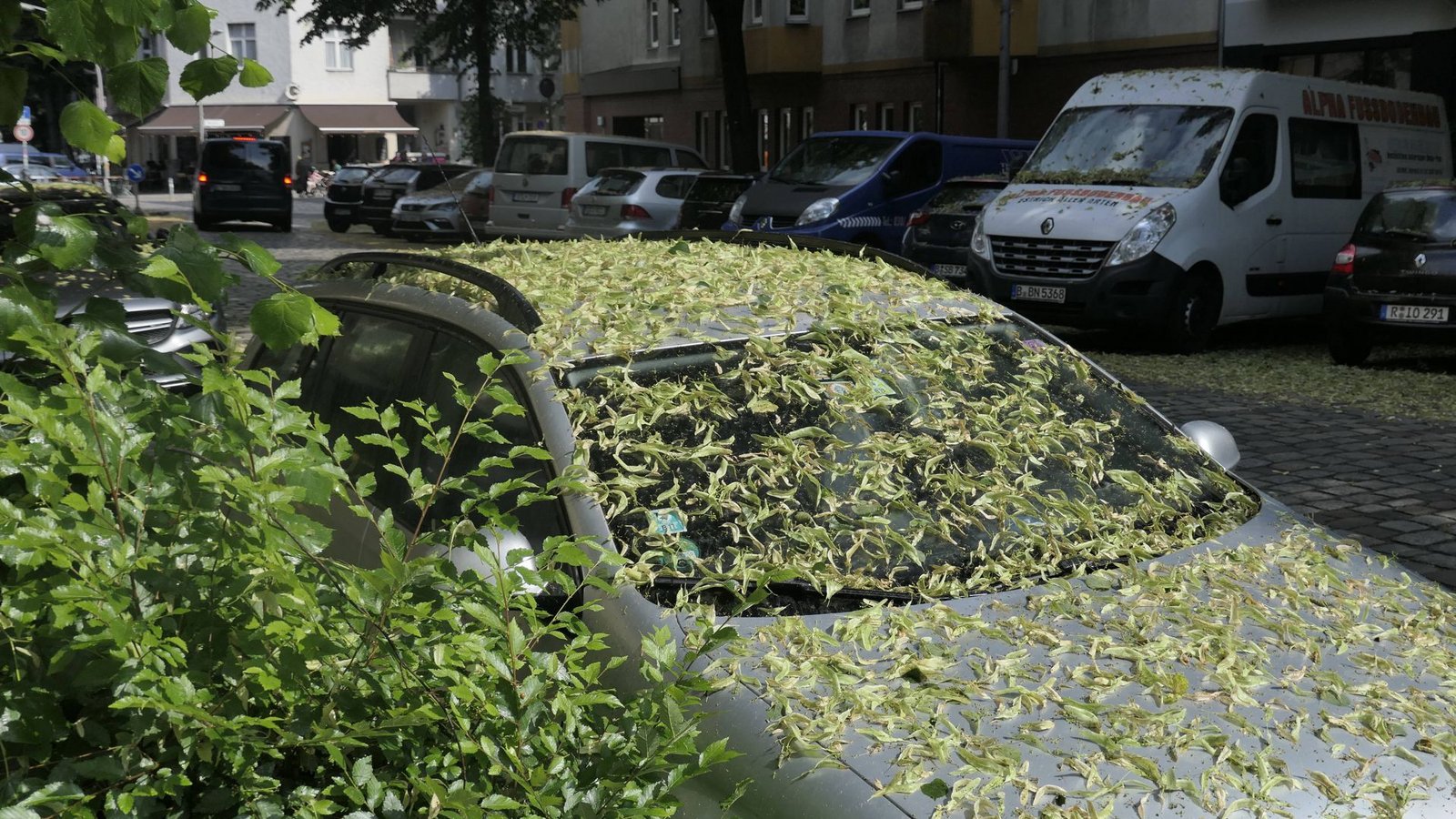 Vielerorts in Deutschland erwartet Autofahrer solch ein Bild: ein klebriger Belag, der das Auto überzieht.Foto: IMAGO/Jürgen Held/IMAGO/Jürgen Held