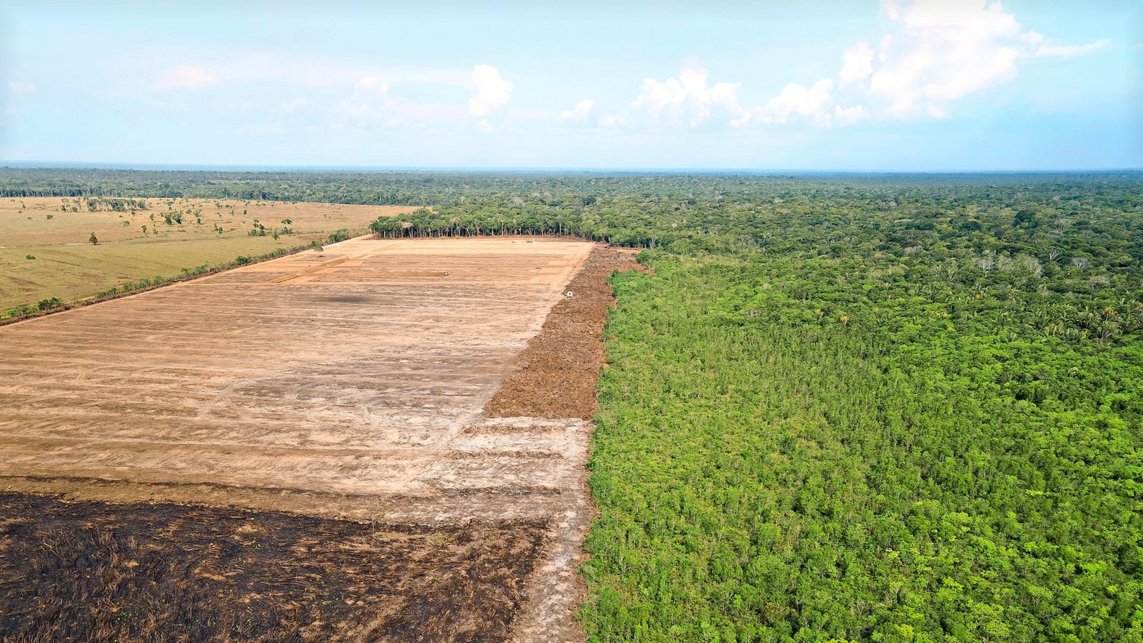 Das Luftbild zeigt eine verbrannte und abgeholzte Fläche im Amazonas-GebietFoto: Fernando Souza/Zuma Press/dpa/Fernando Souza