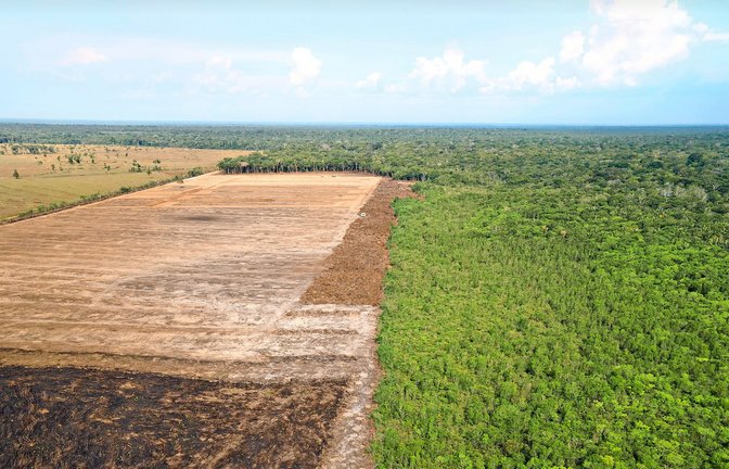 Das Luftbild zeigt eine verbrannte und abgeholzte Fläche im Amazonas-Gebiet<span class='image-autor'>Foto: Fernando Souza/Zuma Press/dpa/Fernando Souza</span>