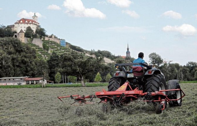 Vaihinger Landleben: Jetzt fahr’n wir mal wieder ins Heu!  Foto: Arning