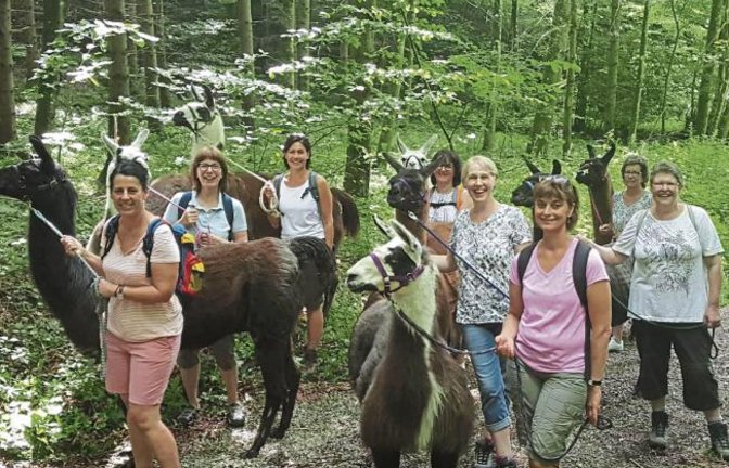 Die Indiaka-Gruppe des FV Roßwag grüßt von ihrem Ausflug ins Allgäu. „Unvergesslich war die geführte Lamawanderung in der Nähe von Immenstadt“, schreibt unsere Leserin Gabriele Dieterle. Die Tiere gehören ihrer Freundin Anja Rebstock, die dort einen Lamahof betreibt.