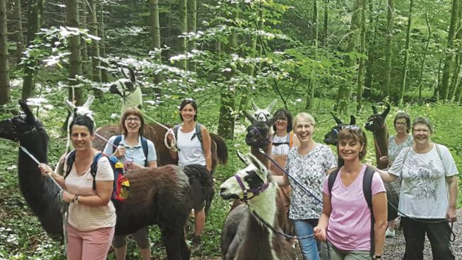Die Indiaka-Gruppe des FV Roßwag grüßt von ihrem Ausflug ins Allgäu. „Unvergesslich war die geführte Lamawanderung in der Nähe von Immenstadt“, schreibt unsere Leserin Gabriele Dieterle. Die Tiere gehören ihrer Freundin Anja Rebstock, die dort einen Lamahof betreibt. Die Indiaka-Gruppe des FV Roßwag grüßt von ihrem Ausflug ins Allgäu. „Unvergesslich war die geführte Lamawanderung in der Nähe von Immenstadt“, schreibt unsere Leserin Gabriele Dieterle. Die Tiere gehören ihrer Freundin Anja Rebstock, die dort einen Lamahof betreibt.