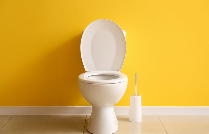 Erfahren Sie, welcher Rhythmus beim Toilettenputz angemessen ist. (Single-, 2-Personen-Haushalt, etc.)<span class='image-autor'>Foto: Pixel-Shot / Shutterstock.com</span>