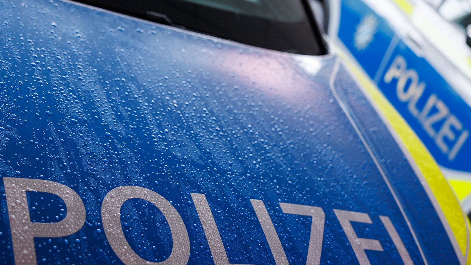 Die Kriminalpolizei bittet um Hinweise zu dem Fall. (Symbolbild)Foto: dpa/Daniel Karmann