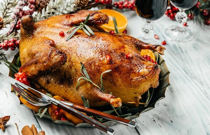 Alles über die Kosten und Qualität einer Weihnachtsgans 2025: Preise, Tierwohl und Tipps für den bewussten Kauf.<span class='image-autor'>Foto: sweet marshmallow / shutterstock.com</span>