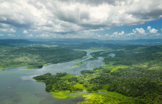 7 Tage müssen die Teilnehmer in der Wildnis von Panama überleben.<span class='image-autor'>Foto: dani3315 / shutterstock.com</span>