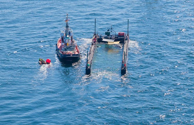 Dem Umweltministerium von Mecklenburg-Vorpommern liegen noch immer keine Daten zum Verbleib des freigesetzten Buckelwals vor. (Archivbild)<span class='image-autor'>Foto: News5 / Sebastian Peters/NEWS5/dpa</span>