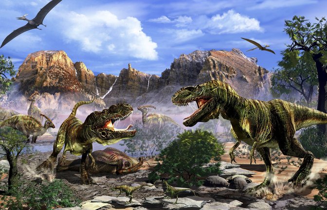 Zwei Tyrannosaurus streiten sich um Aas.<span class='image-autor'>Foto: Imago/StockTrek Images</span>