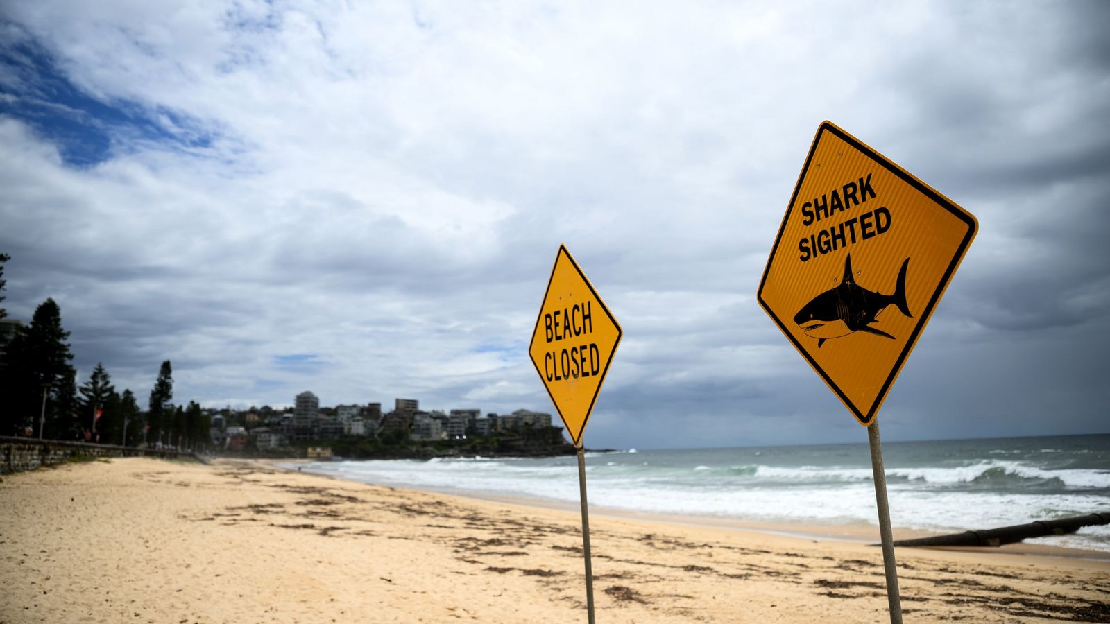 In den vergangenen Tagen wurden immer wieder Haie gesichtet - auch vor dem berühmten Bondi Beach. (Symbolbild)Foto: Bianca De Marchi/AAP/dpa In den vergangenen Tagen wurden immer wieder Haie gesichtet - auch vor dem berühmten Bondi Beach. (Symbolbild)Foto: Bianca De Marchi/AAP/dpa