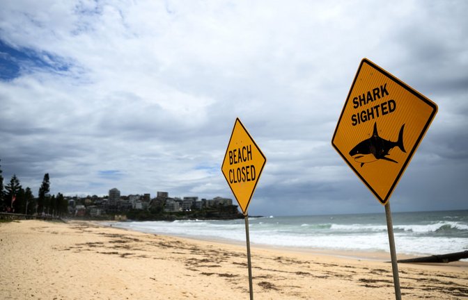 In den vergangenen Tagen wurden immer wieder Haie gesichtet - auch vor dem berühmten Bondi Beach. (Symbolbild)<span class='image-autor'>Foto: Bianca De Marchi/AAP/dpa</span>