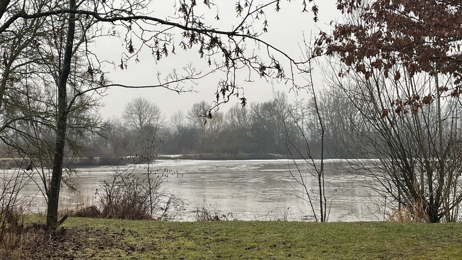 Der Hohenhaslacher See dient als Naherholgunsort und auch als Regenrückhaltebecken. Foto: Glemser Der Hohenhaslacher See dient als Naherholgunsort und auch als Regenrückhaltebecken. Foto: Glemser