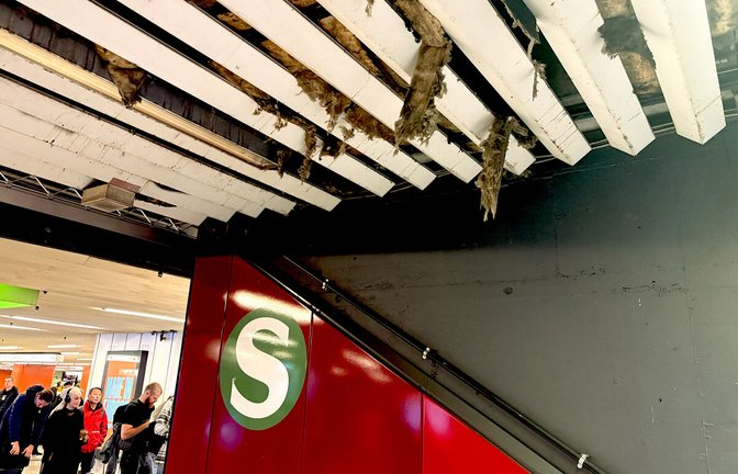 So sieht die Decke über dem Abgang zur S-Bahn in der Klett-Passage aus.<span class='image-autor'>Foto: Milankovic</span>