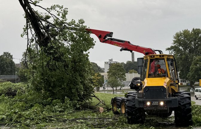 Zig Bäume fielen dem starken Wind zum Opfer.<span class='image-autor'>Foto: Feuerwehr Offenburg</span>
