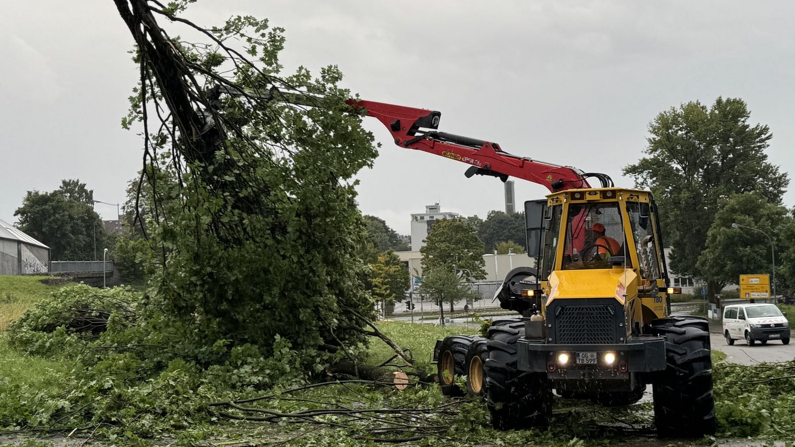 Zig Bäume fielen dem starken Wind zum Opfer.Foto: Feuerwehr Offenburg