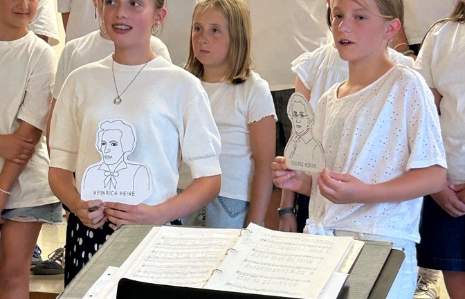 Unterstufenkonzert Dichterparty Friedrich-Abel-Gymnasium Vaihingen Musik MVV-Pavillon Foto: p