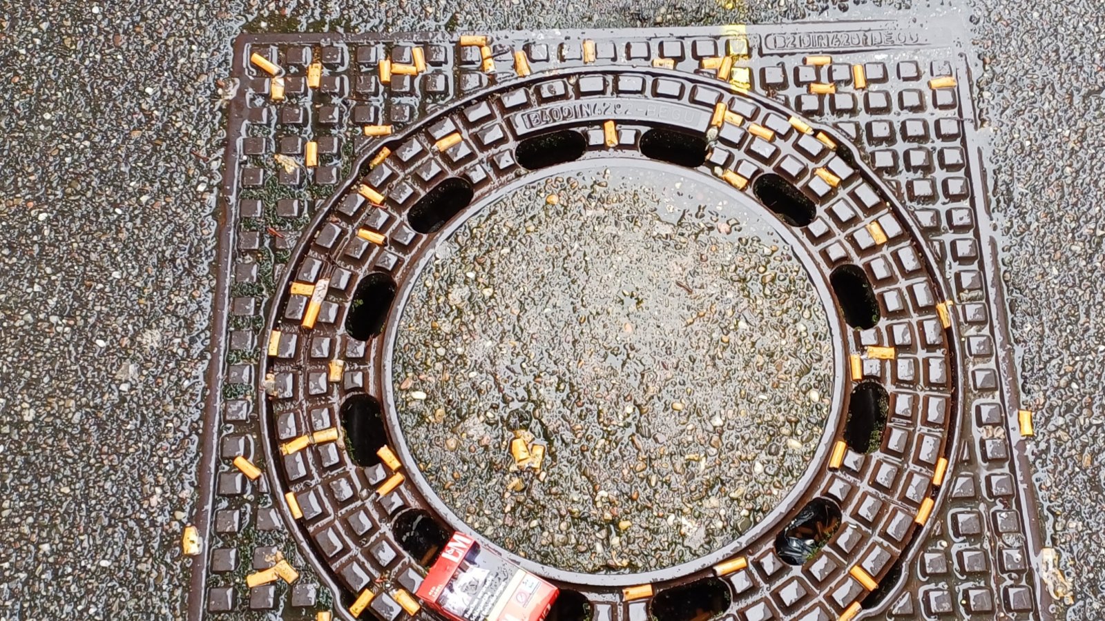 Die, auf Schwäbisch gesagt, Sauerei bei einem Gullydeckel in der Vaihinger Innenstadt hat inzwischen die Sozialen Medien erreicht. Der sichtbare Müll ist hierbei das eine, das andere sind die Substanzen, die ins Wasser gelangen können, darunter Nikotin, Arsen und Blei. Die Zigarettenkippen können in Süßwasser-Ökosystemen Schaden anrichten. Das Nervengift Nikotin ist sehr gut wasserlöslich. Bei Regen ist bereits nach 30 Minuten etwa die Hälfte der Substanz aus der Kippe gelöst, schreibt das Leibniz Institut für Gewässerökologie Berlin.  Foto: Rücker