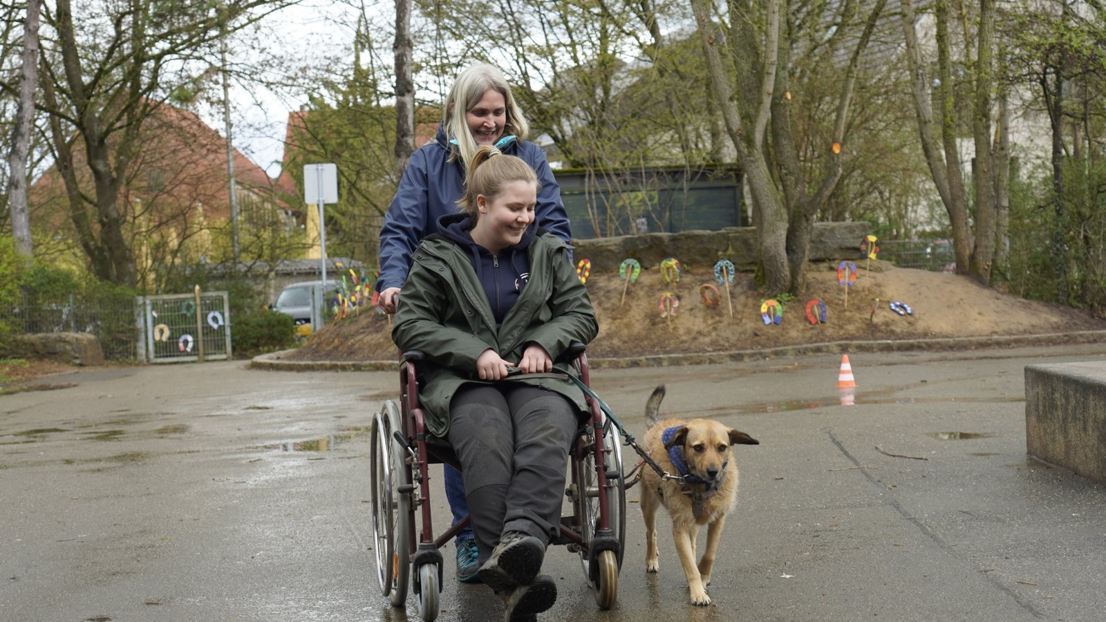 In Ludwigsburg-Poppenweiler üben die Therapiehunde ihre bevorstehenden Einsätze.