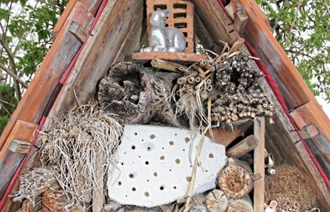 Welches Krabbeltier wollte nicht in einem so schmucken Insektenhotel unterkommen? Gesehen in der Nähe von Nussdorf.  Foto: Banholzer