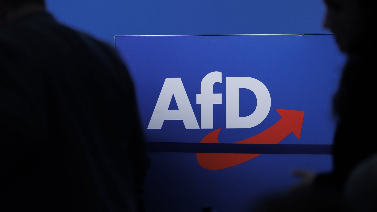Delegierte gehen vor dem Parteilogo bei dem AfD-Bundesparteitag in Magdeburg (Archivbild).Foto: dpa/Carsten Koall
