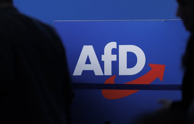 Delegierte gehen vor dem Parteilogo bei dem AfD-Bundesparteitag in Magdeburg (Archivbild).<span class='image-autor'>Foto: dpa/Carsten Koall</span>