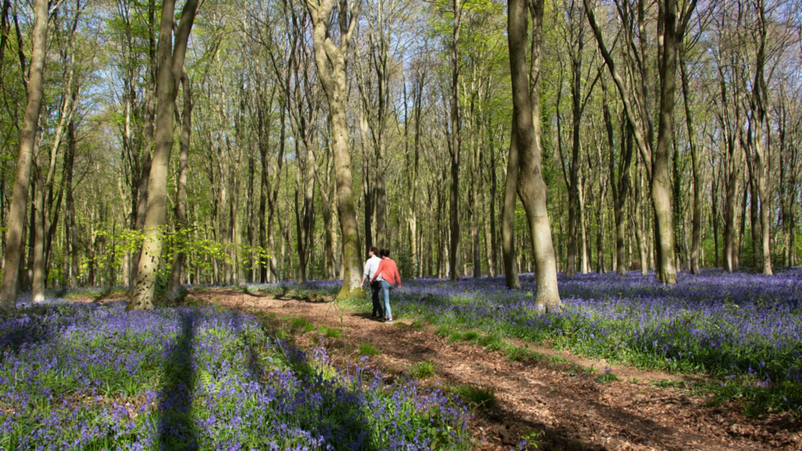 Ist ein Spaziergang in der Natur erlaubt?Foto: SeraphP / shutterstock.com Ist ein Spaziergang in der Natur erlaubt?Foto: SeraphP / shutterstock.com