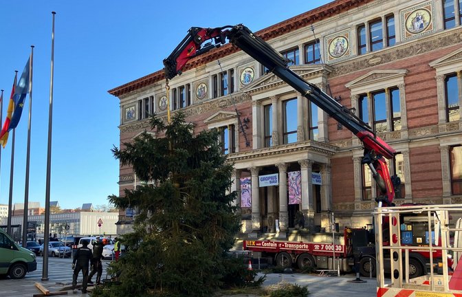 Pannen mit Weihnachtsbäumen sind in Berlin keine Seltenheit.<span class='image-autor'>Foto: Stefan Kruse/-/dpa</span>