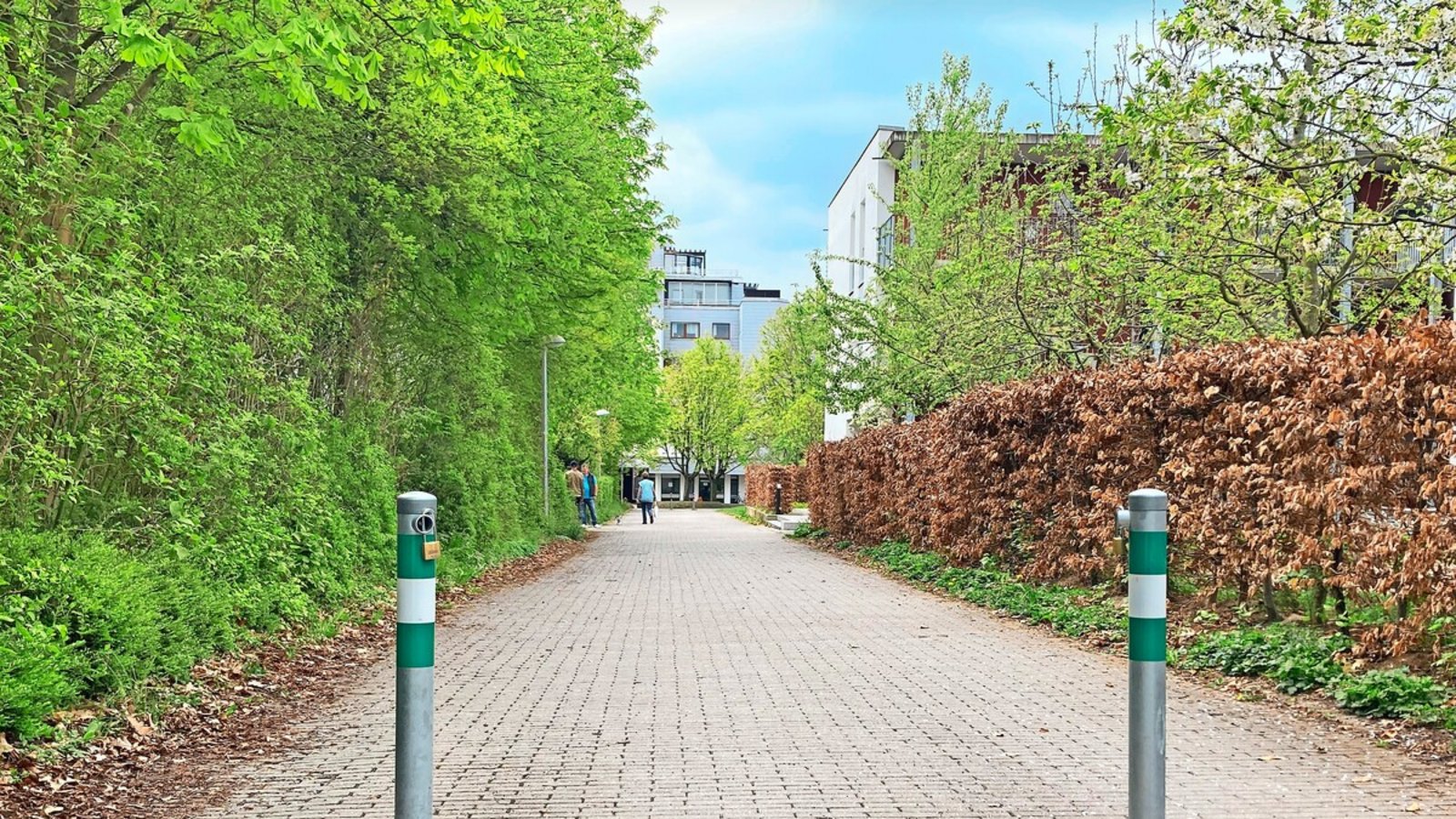 Wer etwa an dieser Stelle mit dem Rettungswagen weiterwill, scheitert an den Pollern – und muss einen mehrere Hundert Meter langen Weg zu Fuß antreten.Foto: Jürgen Bock