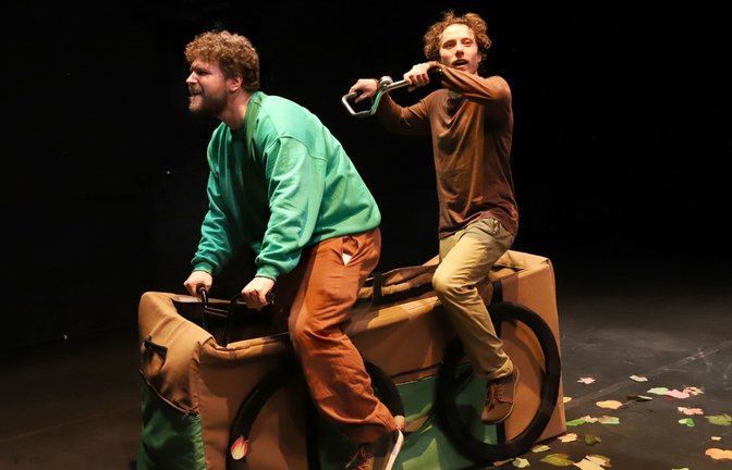 Die Zwillinge Adam und Atticus.  <span class='image-autor'>Foto: Haymann</span>