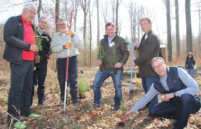 Pflanzaktion in Hochdorf (von links): Eberdingens Bürgermeister Peter Schäfer, Dr. Michael Nill vom Fachbereich Wald des Ludwigsburger Landratsamtes, Revierförster Steffen Frank, die beiden Conductor-Geschäftsführer Roland Görgens und Helmut Kilger sowie Affalterbachs Bürgermeister Steffen Döttinger.  <span class='image-autor'>Foto: Banholzer</span>