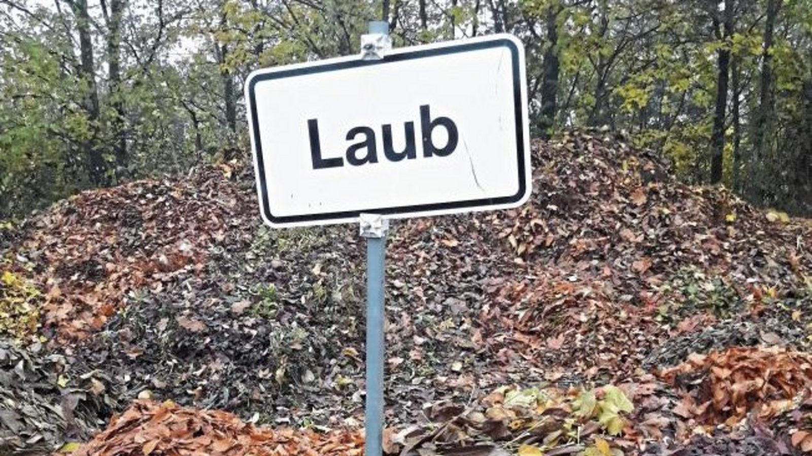 Abschied beim Häckselplatz: Tschüss Laub, schön war die Zeit.  Foto: Rücker