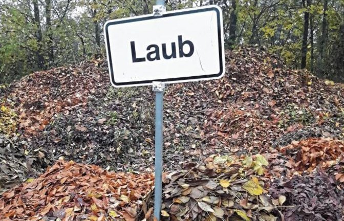 Abschied beim Häckselplatz: Tschüss Laub, schön war die Zeit.  Foto: Rücker