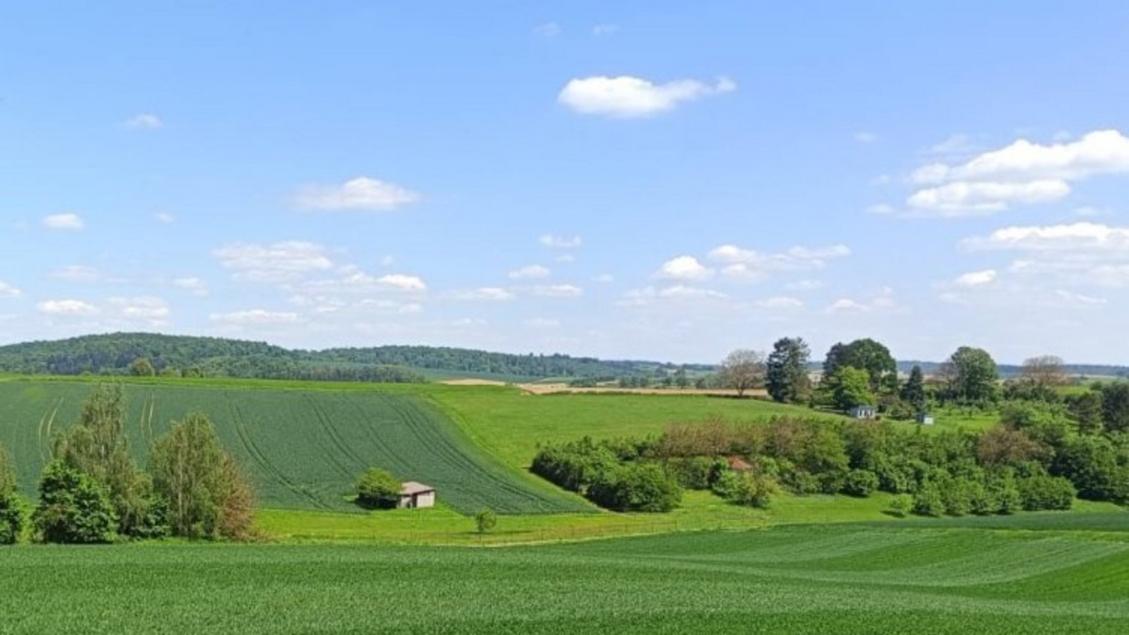 Bitte nicht betreten: Wiesen und Felder während der Vegetationszeit.  Foto: LE/Fuchs