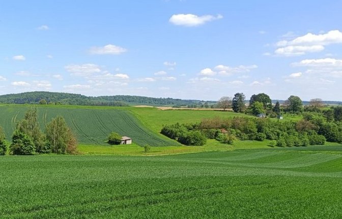 Bitte nicht betreten: Wiesen und Felder während der Vegetationszeit.  <span class='image-autor'>Foto: LE/Fuchs</span>