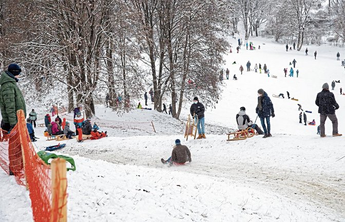 Der viele Neuschnee hat Wintersportler wie hier in München vor allem zum Schlittenfahren auf die Pisten gezogen. Foto: ddp