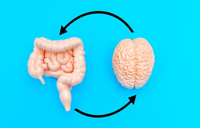 Eine Studie aus Tübingen und Leinfelden-Echterdingen zeigt: Veränderungen im Mikrobiom können Jahre vor ersten Alzheimer-Symptomen auf eine beginnende Demenz hinweisen.<span class='image-autor'>Foto: Chizhevskaya Ekaterina / Shutterstock.com</span>