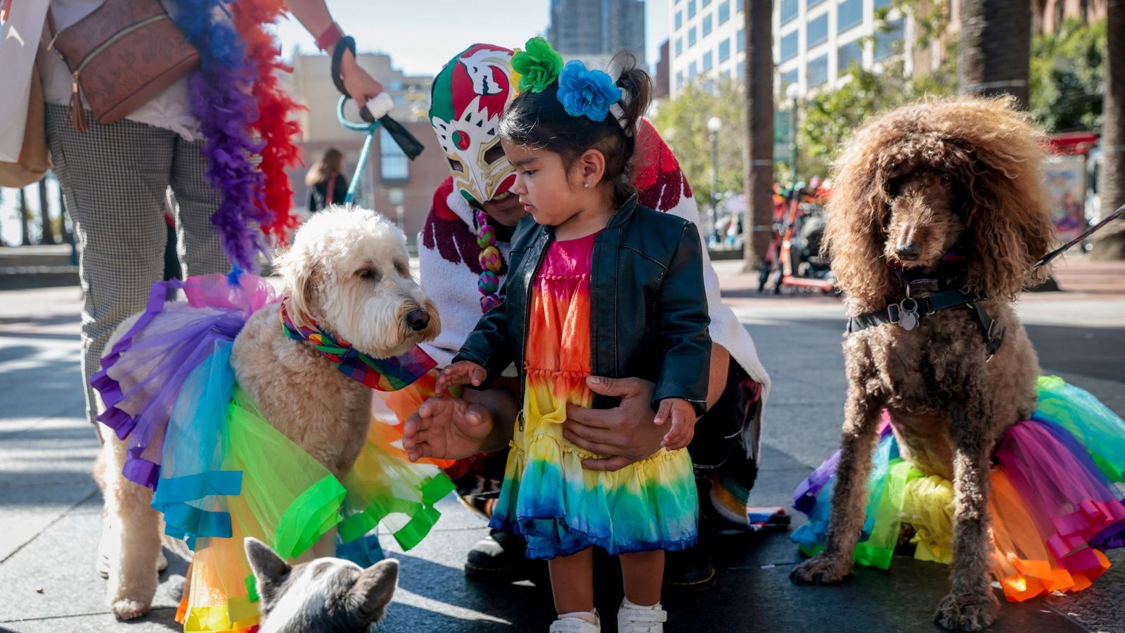 Regenbogen-Kostüme gibt es auch für Vierbeiner.Foto: Brontë Wittpenn/San Francisco Chronicle/AP/dpa Regenbogen-Kostüme gibt es auch für Vierbeiner.Foto: Brontë Wittpenn/San Francisco Chronicle/AP/dpa