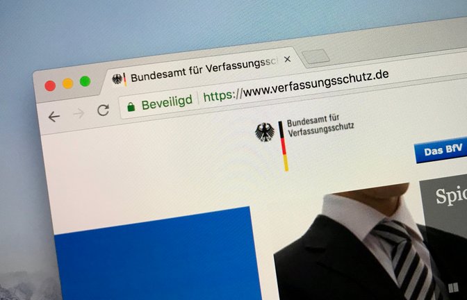 Das Bundesamt für Verfassungsschutz hat die AfD als "gesichert rechtsextremistisch" eingestuft.<span class='image-autor'>Foto: Jarretera / shutterstock.com</span>