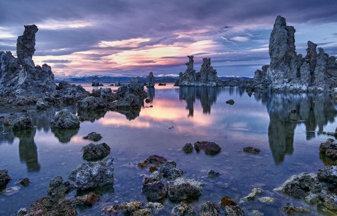 Natronsee: Der Mono Lake in Mono County im zentral-östlichen Teil von Kalifornien ist also sowohl besonders alkalisch als auch besonders salzhaltig. Wegen der harschen Umweltbedingungen müssen Tiere und Pflanzen sowohl an den hohen pH-Wert angepasst sein als auch den Salzgehalt ertragen können.<span class='image-autor'>Foto: Imago/Wirestock</span>