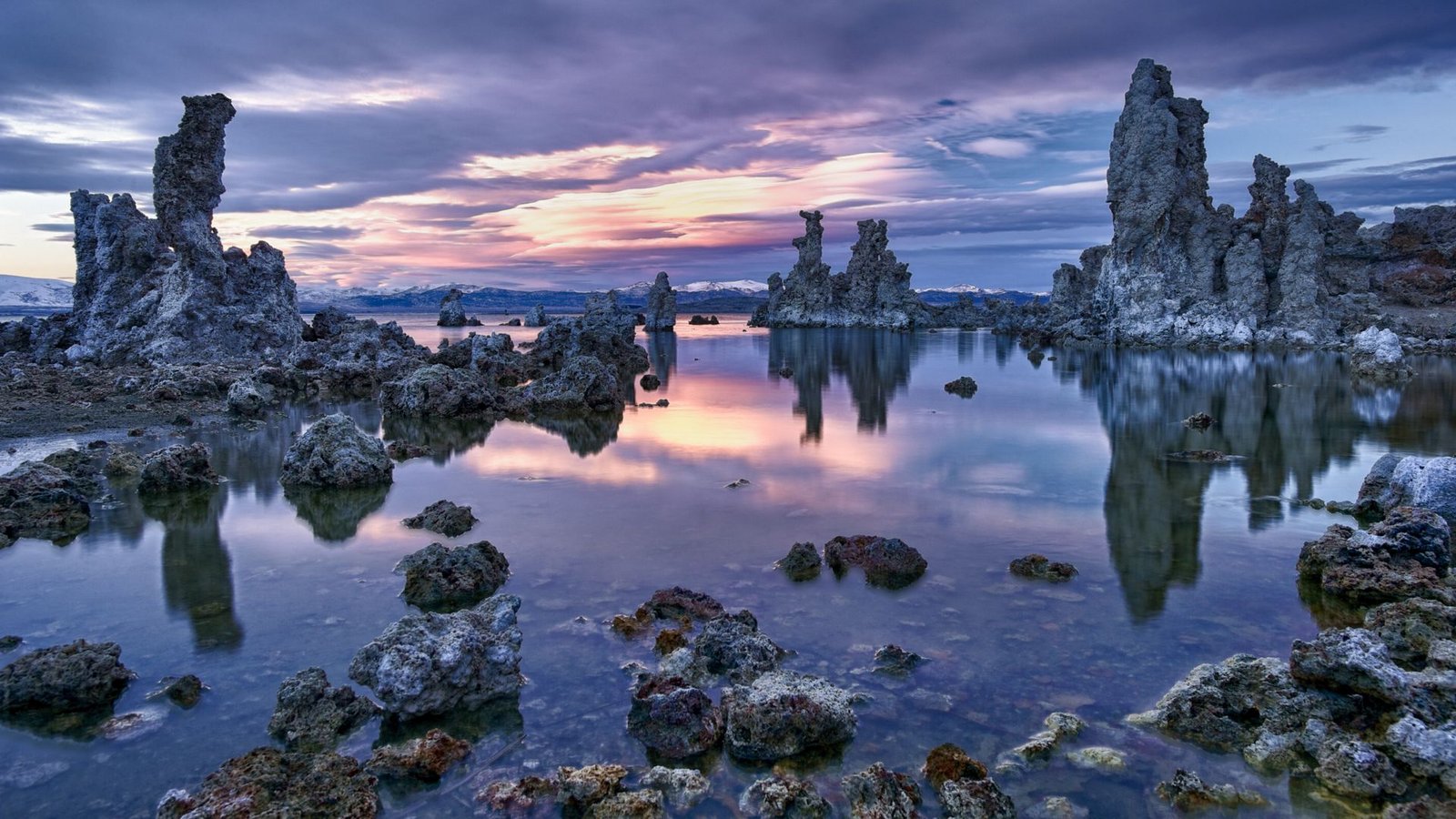 Natronsee: Der Mono Lake in Mono County im zentral-östlichen Teil von Kalifornien ist also sowohl besonders alkalisch als auch besonders salzhaltig. Wegen der harschen Umweltbedingungen müssen Tiere und Pflanzen sowohl an den hohen pH-Wert angepasst sein als auch den Salzgehalt ertragen können.Foto: Imago/Wirestock Natronsee: Der Mono Lake in Mono County im zentral-östlichen Teil von Kalifornien ist also sowohl besonders alkalisch als auch besonders salzhaltig. Wegen der harschen Umweltbedingungen müssen Tiere und Pflanzen sowohl an den hohen pH-Wert angepasst sein als auch den Salzgehalt ertragen können.Foto: Imago/Wirestock
