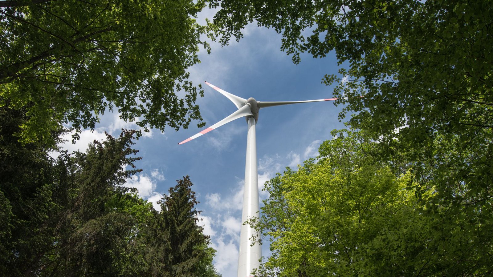 Viele Windräder stehen in Baden-Württemberg in Wäldern.Foto: dpa/Armin Weigel Viele Windräder stehen in Baden-Württemberg in Wäldern.Foto: dpa/Armin Weigel