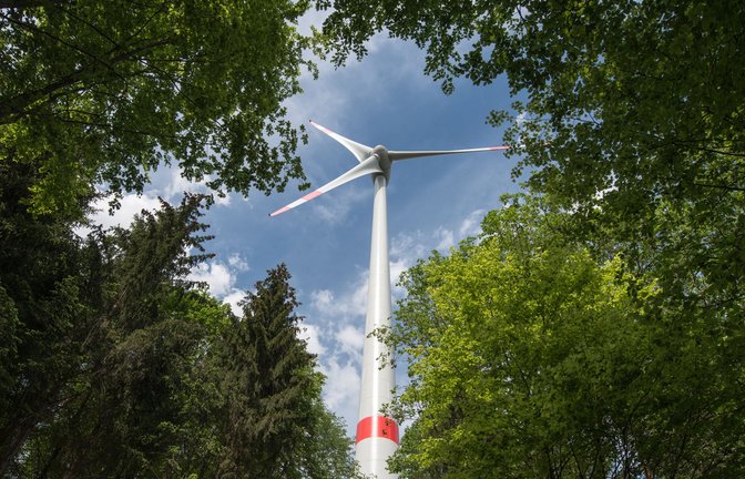 Viele Windräder stehen in Baden-Württemberg in Wäldern.<span class='image-autor'>Foto: dpa/Armin Weigel</span>