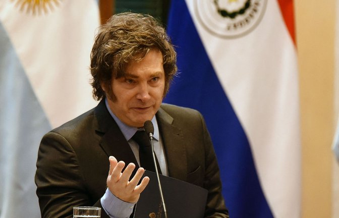 Der einstige Überflieger Javier Milei muss um Stimmen kämpfen.<span class='image-autor'>Foto: AFP</span>