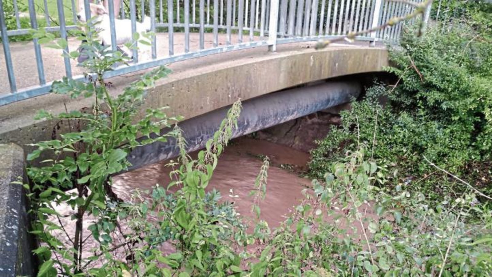 An einem Rohr droht sich das Wasser des Kreuzbachs in Iptingen aufzustauen. Foto: Küppers An einem Rohr droht sich das Wasser des Kreuzbachs in Iptingen aufzustauen. Foto: Küppers