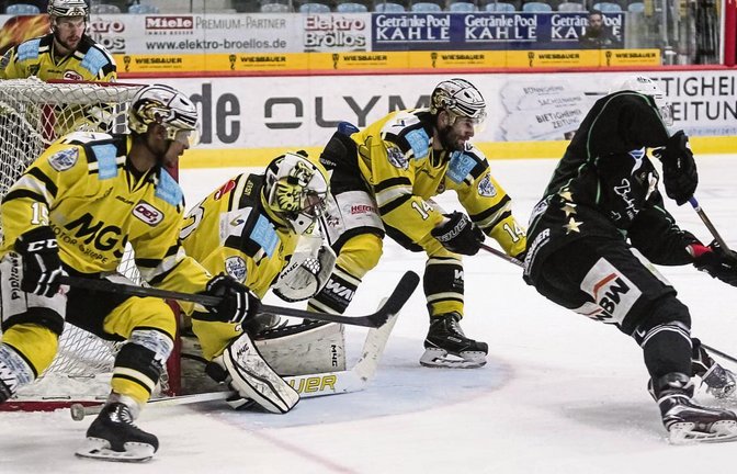 Robin Just nimmt Maß, obwohl die Bayreuth Tigers fast alle Mann vors Tor gestellt haben. Die Steelers dominieren beim 9:0 vor heimischem Publikum nach Belieben. Foto: Simecek