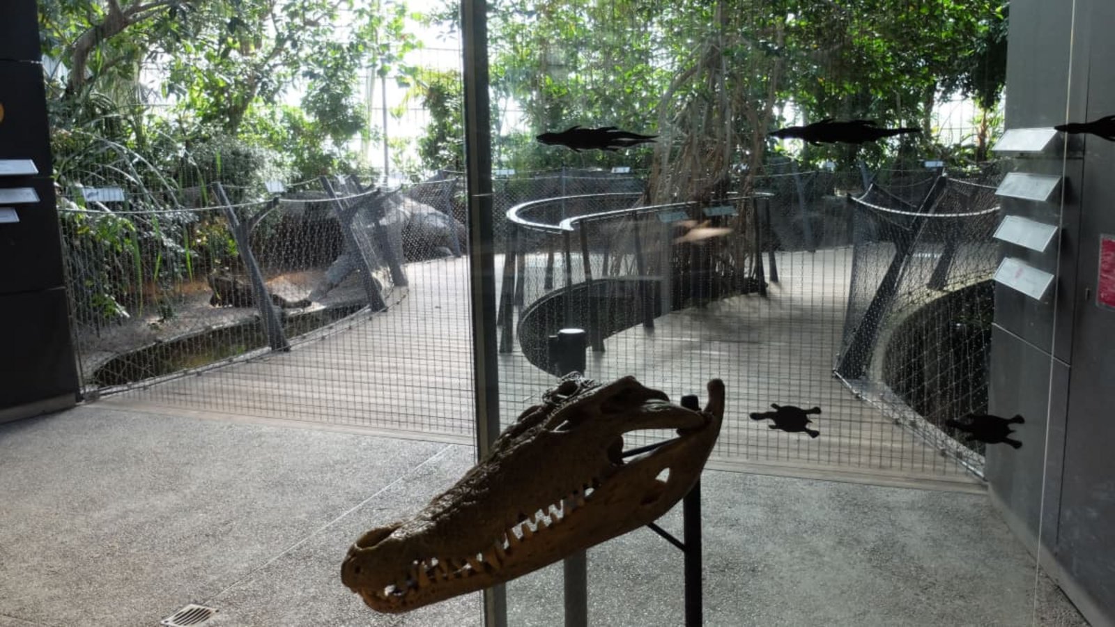 Die Tierrechtsorganisation Peta kritisiert die mangelnden Sicherheitsvorkehrungen in der Krokodilhalle der Wilhelma und verlangt Verbesserungen. Die Wilhelma will die Beschilderung ergänzen.Iris Frey Die Tierrechtsorganisation Peta kritisiert die mangelnden Sicherheitsvorkehrungen in der Krokodilhalle der Wilhelma und verlangt Verbesserungen. Die Wilhelma will die Beschilderung ergänzen.Iris Frey