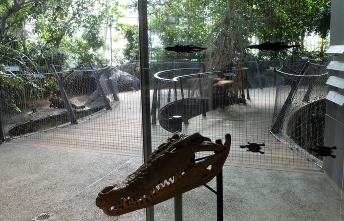 Die Tierrechtsorganisation Peta kritisiert die mangelnden Sicherheitsvorkehrungen in der Krokodilhalle der Wilhelma und verlangt Verbesserungen. Die Wilhelma will die Beschilderung ergänzen.<span class='image-autor'>Iris Frey</span>