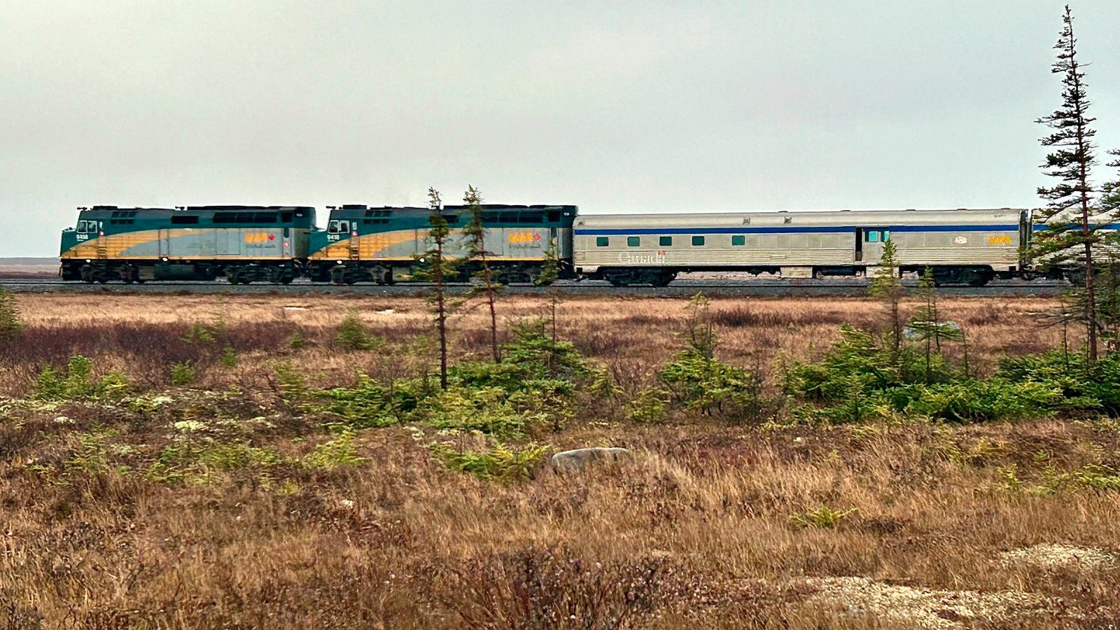 Der Personenzug von Via Rail-Zug in der kanadischen TundraFoto: SWR/Kirsten Ruppel Der Personenzug von Via Rail-Zug in der kanadischen TundraFoto: SWR/Kirsten Ruppel