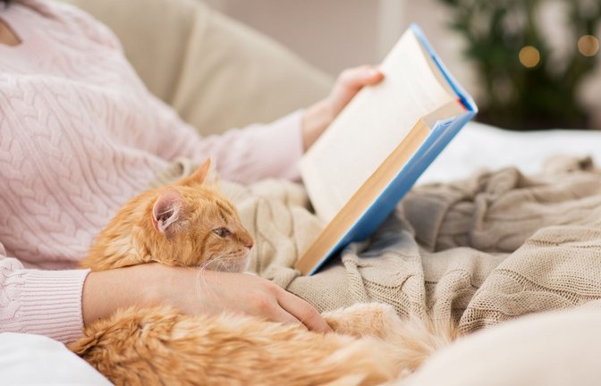 Katze statt Mann? Glaubt man sozialen Netzwerken bevorzugen immer mehr junge Frauen heutzutage das Lebensmodell kinderlose Katzenfrau.<span class='image-autor'>Foto: IMAGO//lev dolgachov</span>