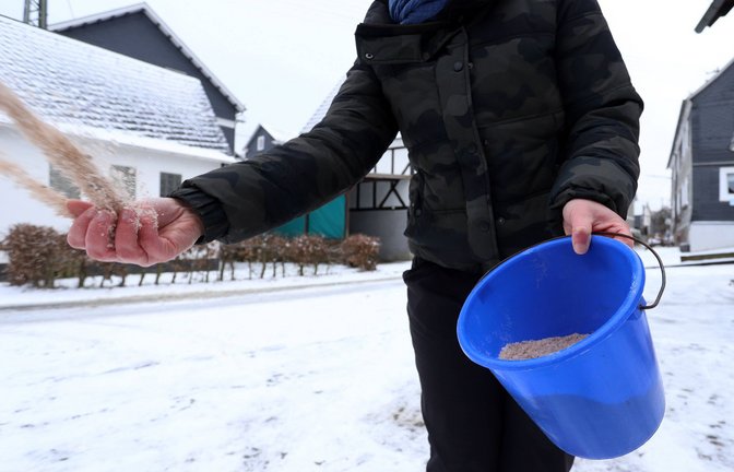 Bevor man zu Salz greift, sollte man sich informieren, ob das in der Kommune erlaubt ist.<span class='image-autor'>Foto: imago images/Rene Traut</span>