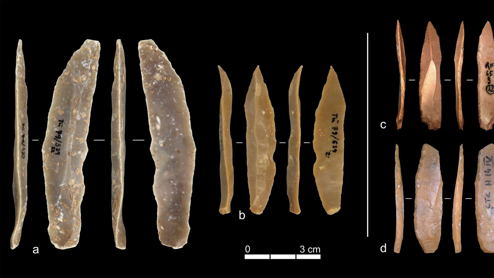Beispiele für Steinartefakte aus dem Ahmarien von Ksar Akil (a & b) und dem Protoaurignacien von Grotta di Fumane (c) sowie Grotta di Castelcivita (d). Foto: Universität Tübingen/Armando Falcucci Beispiele für Steinartefakte aus dem Ahmarien von Ksar Akil (a & b) und dem Protoaurignacien von Grotta di Fumane (c) sowie Grotta di Castelcivita (d). Foto: Universität Tübingen/Armando Falcucci